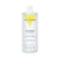 Valquer Ingwer-Shampoo Anti-Schuppen-Shampoo und Haarwachstums-Stimulator. Antioxidativ, reparierend und antibakteriell. Mit Panthenol und Vitamin E. Für die häufige Anwendung bei allen Haartypen. 1 L