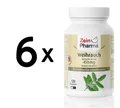 6 x Zein Pharma Incense, 450mg - 120 caps (236,10 EUR/kg)