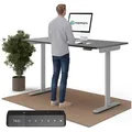 Ergotopia Schreibtisch Desktopia One (elektrisch höhenverstellbarer Schreibtisch) schwarz 160 cm