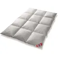 Canada Daunenbettdecke Canada extra warme Winter Decke Kassetten 8 cm Hochsteg, Füllung: Daune, nicht spezifiziert, Bezug: 100% Baumwolle, 8 cm Innensteg/Hochsteg 240 cm x 220 cm