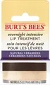Lippenpflege Intensive Lip Treatment