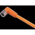 ifm electronic gmbh Anschlusskabel EVT126 M8 abgewinkelt 3pol. 2m PVC