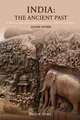 Burjor Avari India: The Ancient Past (Taschenbuch)