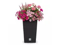 Prosperplast Blumentopf Rato Square (50 cm), inkl. Einsatz