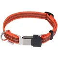 SPRENGER Hunde-Halsband Halsband gummiert/reflektierend – verstellbar orange Signalorange – Größe M (40–55 cm)