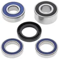 Radlagersatz für ALL BALLS AB25-1464