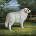 Douglas Andrew McCombs - VMAK<KOMBZ<<<DUGLAS<<6NDR7<<< - NEU - | CD