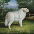 DOUGLAS ANDREW MCCOMBS - VMAK   CD NEU