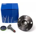 SKF RADLAGERSATZ RADNABE HINTEN FÜR AUDI SEAT LEON SKODA OCTAVIA VW GOLF BEETLE