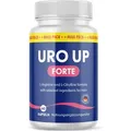 Uro Up Forte (60 Kapseln) | Speziell für en Mann - Mit L-Arginin, L-Citrullin, Maca & Traubenkernextrakt