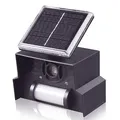 Gardigo Solar Vogelabwehr elektronische Vogelscheuche mit Ultraschall und Blitzlicht