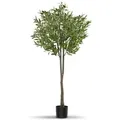 Künstliche Zimmerpflanze Künstlicher Olivenbaum Olivenbaum, tectake, Höhe 150,00 cm, verschiedene Größen grün 40,00 cm x 40,00 cm x 150,00 cm