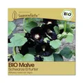 Samenliebe BIO Malven Samen | Schwarze Erfurter - Heilpflanze & Wildblume - samenfestes BIO Saatgut