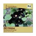 BIO Malve Samen Schwarze Erfurter Blumen-Samen Saatgut Malvesamen