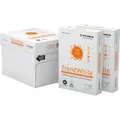Steinbeis TrendWhite (80 g/m², 500 x, A4) (88025159)