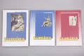 195926 LUMINA Texte und Übungen - Lernvokabeln - Formen und Stammformen 3 Bde