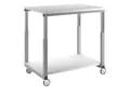 RAU Tischwagen ESD, Melaminharzplatte, LxB 1000 x 700 mm