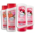 Balea 5er Set: Shampoo Farbglanz 2 x 300, Spülung Farbglanz, 2 x 300 ml für geschädigtes/Strapaziertes Haar, Trockenes Haar – 1 x Topfpflanze künstlich