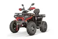NITRO MOTORS 230cc Maxi Quad Tricia CVT RS10 Platin inkl. Seilwinde, Farbe:Rot