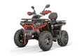 Smarty Elektro-Kinderquad 230cc maxi Quad Tricia CVT RS10 Platin inkl. Seilwinde