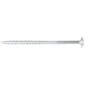 SCREWREBEL Holzbauschraube Tellerkopfschraube hell verzinkt mit ETA Zulassung und Torx Antrieb, (100 St), großer Kopf für hohe Klemmkraft, hohe Belastbarkeit, robust 6 x 280 mm
