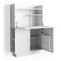 Vicco Schreibtisch-Schrank Alena Büroschrank Aktenschrank Computertisch Sekretär
