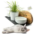 Futterstation personalisiert, Olivenholz - Futterbar mit Gravur, 2 Fressnäpfen und einem Katzengras-Topf für Katzen