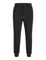 JACK & JONES Jpstgordon Bradley Sweat Pant Noos