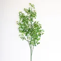 artplants Kunstzweig Buchsbaum Zweig Arica, 75cm