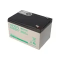 AccuCell SSB SBL12-12L Bleiakku, AGM Blei Gel Akku mit 12V, 12Ah, 6,3mm Faston Anschlüsse, Design Life 10-12 Jahre