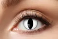 Party Factory Farblinsen Zoelibat Black Cat Kontaktlinsen – 12 Monatslinsen Cosplay & Karneval