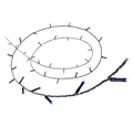 WiZ Lichterkette Fairy Light Color 20m Outdoor Lichterkette 8720169076969, per App steuerbar, mit USB-Anschluss, Leuchtfarbe einstellbar