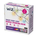 WIZ Fairy Light Color 20m Outdoor LED Lichterkette Kalt-Warmweiß-Farbe