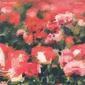 Pedals [Vinyl LP]