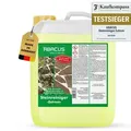 ABACUS® Steinreiniger Extrem, intensiver Steinreiniger für außen mit Sofortwirkung, entfernt sofort Schmutz, Grünbelag & Flechten auf Steinen 1...