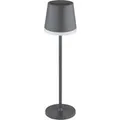 Globo Solarleuchte Metall 41 cm Anthrazit Matt