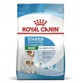 ROYAL CANIN SHN Mini Starter Mother & Babydog - Trockenfutter für Hunde - 4 kg