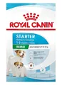 4 kg Royal Canin Mini Starter  (€ 9,99/kg) Mother & Babydog - Aufzuchtfutter