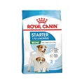Royal Canin Mini Starter Mother & Babydog - Hondenvoer - 4 kg