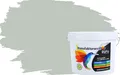RyFo Colors Bunte Wandfarbe Manufakturweiß Graugrün 3l - weitere Grün Farbtöne und Größen erhältlich, Deckkraft Klasse 1, Nassabrieb Klasse 1