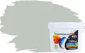 RyFo Colors Bunte Wandfarbe Manufakturweiß Graugrün 3l - weitere Grün Farbtöne und Größen erhältlich, Deckkraft Klasse 1, Nassabrieb Klasse 1