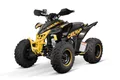 Smarty Elektro-Kinderquad 250cc maxi Quad Celavi RS10 4-Gang Manuell Platin