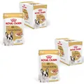 ROYAL CANIN French Bulldog Adult Loaf | Doppelpack | 2 x 12 x 85 g | Alleinfuttermittel für französische Bulldoggen ab 12 Monaten