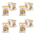 ROYAL CANIN French Bulldog Adult Loaf | 4er Pack | 4 x 12 x 85 g | Alleinfuttermittel für französische Bulldoggen ab 12 Monaten