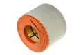 Luftfilter FILTRON AR371/6