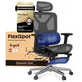 FLEXISPOT Ergonomischer Bürostuhl Schreibtischstuhl mit Fußstütze, 3D-Armlehnen, 3D-Kopfstütze, 5D-Rückenlehne, Atmungsaktiver Sitz Belastbar bis 136 kg Arbeitsstuhl, ErgoX, Dunkelgrau