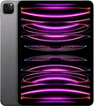 Apple iPad Pro 11" 256GB [Wi-Fi + Cellular, Modell 2022] space grau