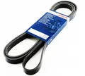 Bosch 1987948310 Keilrippenriemen