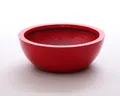 Elegant Einrichten Pflanzkübel Fiberglas Schale rund D55xH19cm hochglanz rot (1 St)