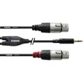 Cordial Audio Adapterkabel [1x Klinkenstecker 3.5 mm - 2x XLR-Buchse] 3.00 m